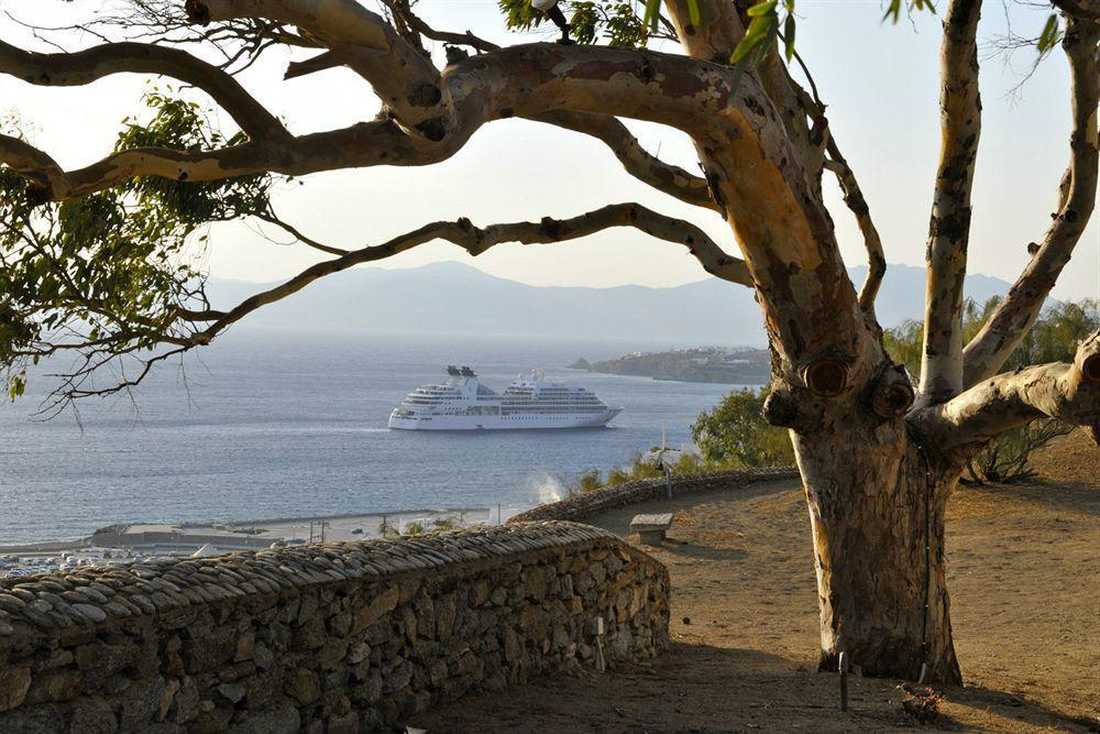 Castle Panigirakis Hotell Mykonos Town Eksteriør bilde
